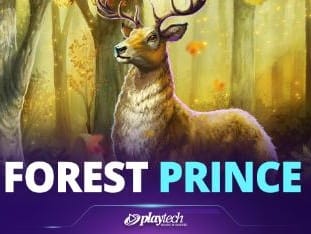 Forest Prince™ icon